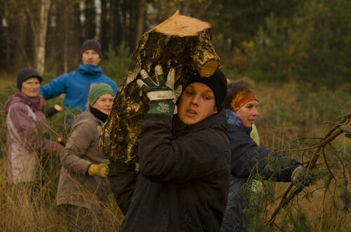 Sehen Sie selbst... © Bergwaldprojekt e. V.