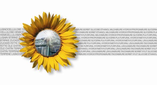 Bioraffinerie - Dechema Logo 