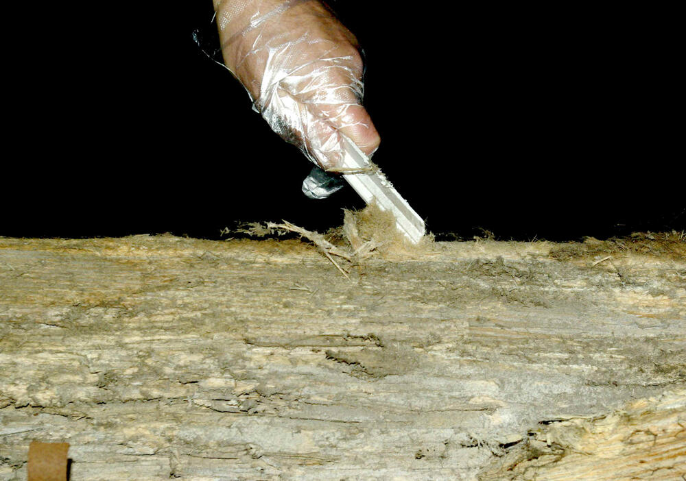 mazerierter Holzfasern 