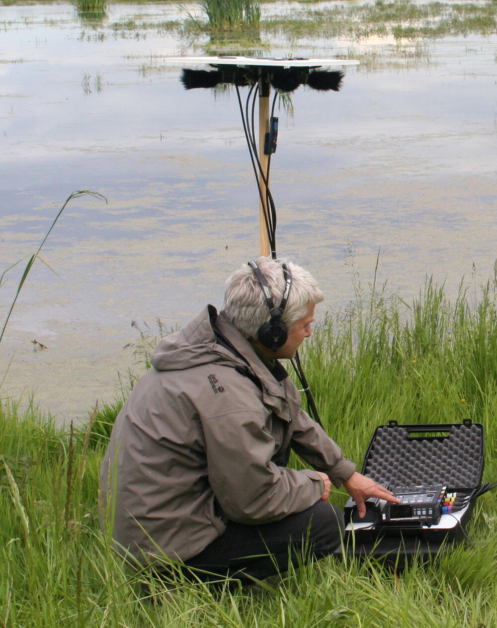 Beobachtung und Überwachung von Brutvögeln 