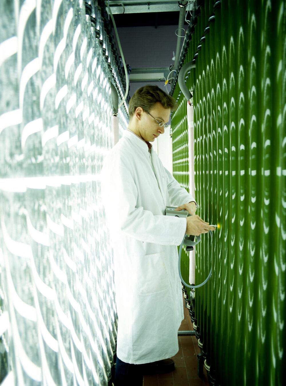 Aquakultur Büsum BlueBioTech &copy; BlueBioTech