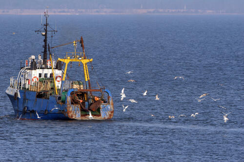 Aquakultur Büsum Fischkutter &copy; piclease/Fünfstück, Hans-Joachim 