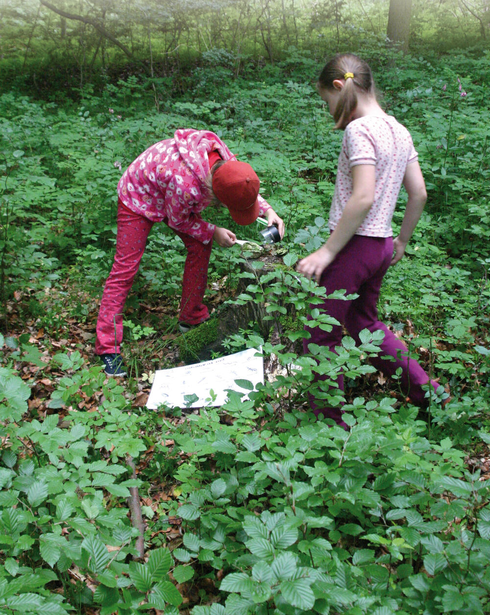 Kinder gestalten ihr Schulleben mit 