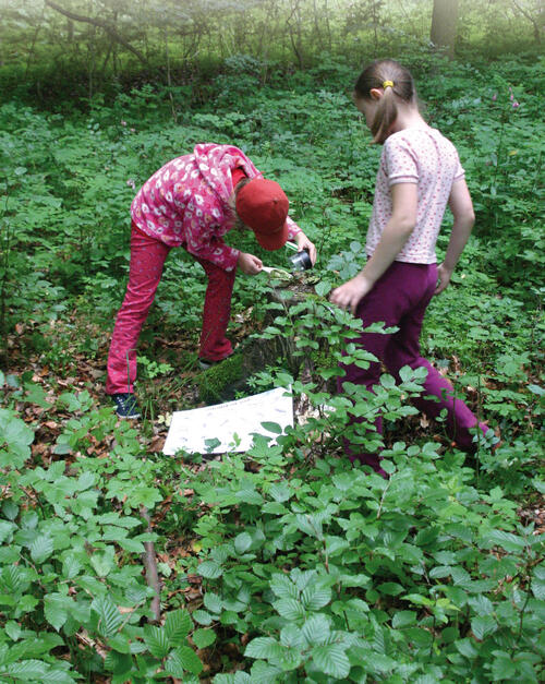 Kinder gestalten ihr Schulleben mit 