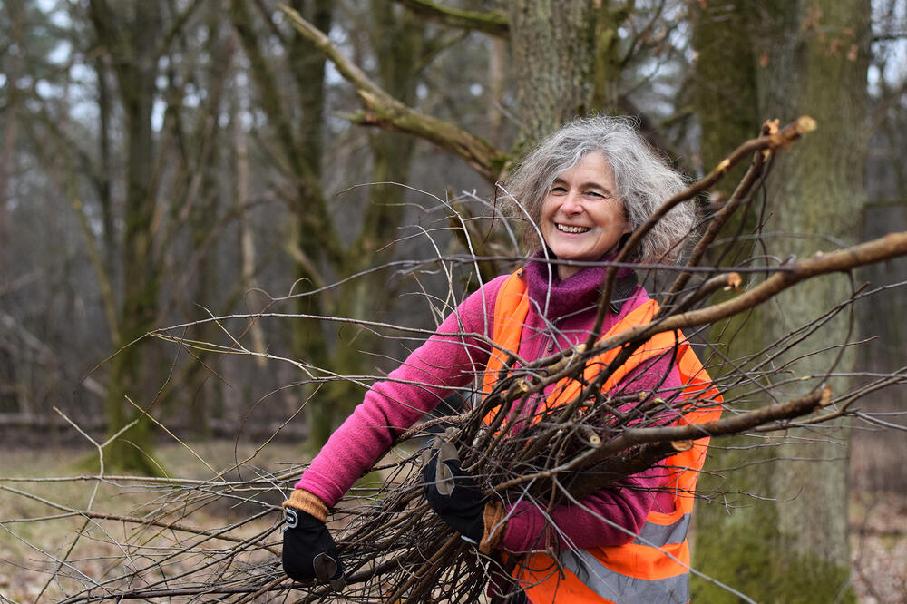 Bergwaldprojekt DBU-Naturerbefläche Hainberg © Bergwaldprojekt e.V.