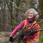 Bergwaldprojekt DBU-Naturerbefläche Hainberg © Bergwaldprojekt e.V.