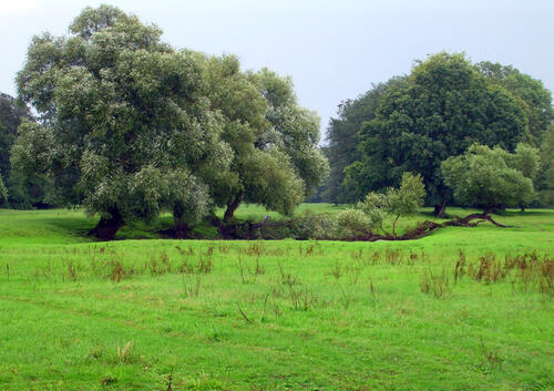 Sehen Sie selbst... &copy; Uni Marburg