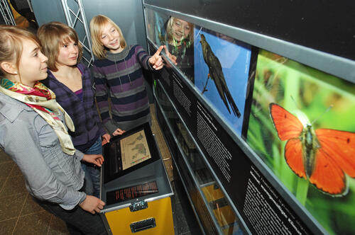 Ausstellung Klimawerkstatt 