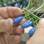 Sehen Sie selbst... &copy; IWL