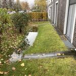 Mulde nach Starkregen - Zuleitung vom Dach (Berlin Marzahn) © Ingenieurgesellschaft Prof. Dr. Sieker mbH