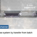 nicht stabile Emulsion 