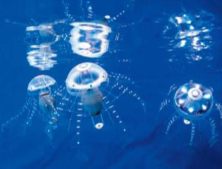 Bionic Award 2010 Flyer Bild 