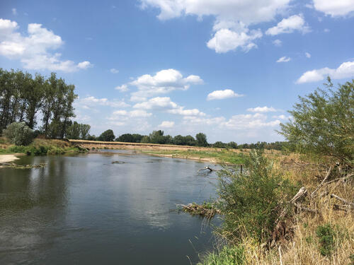 Mulde bei Laussig © Isabell Juszczyk/Aueninstitut