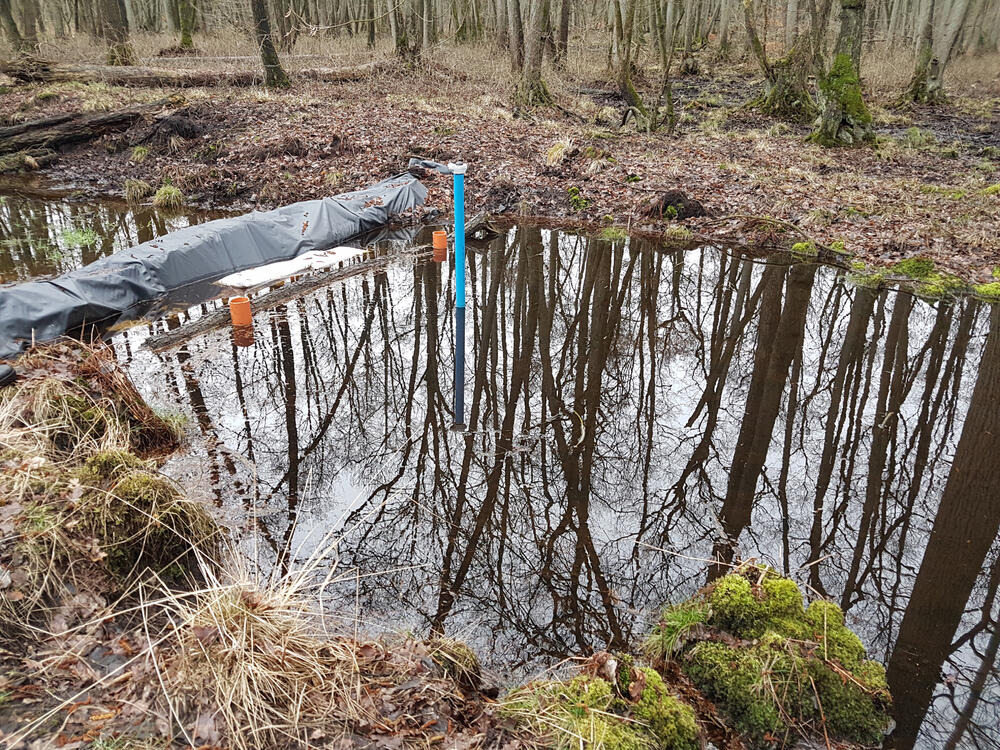 Temporärer Damm im Deutener Moor © Johannes Meßer/Lippe Wassertechnik GmbH