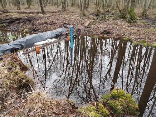 Temporärer Damm im Deutener Moor © Johannes Meßer/Lippe Wassertechnik GmbH