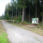 DBU-Naturerbefläche Hartmannsdorfer Forst © Sabine Haas/Bundesforst