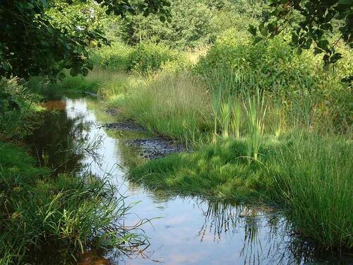 Bach &copy; Foto: Ewald Tewes