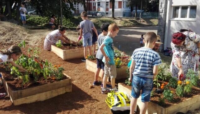 Urbaner Gemüseanbau AZ 32972 © EKO LOGIC