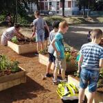 Urbaner Gemüseanbau AZ 32972 © EKO LOGIC