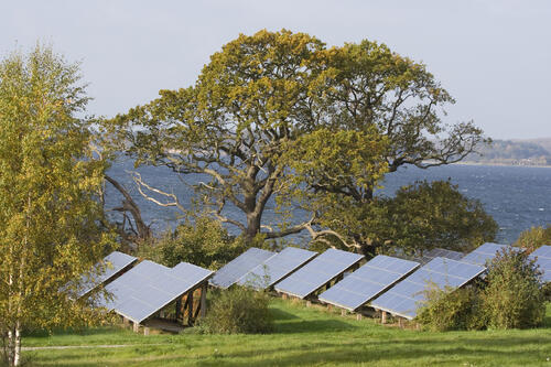 Solarmodule &copy; Pütsch, Michael/piclease