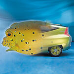 Bionik Award 2008 &copy; Fotomontage: SigNatur, Fotos: DaimlerChrysler