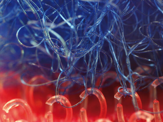 Bionik Wirtschaftsforum 