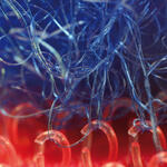 Bionik Wirtschaftsforum 