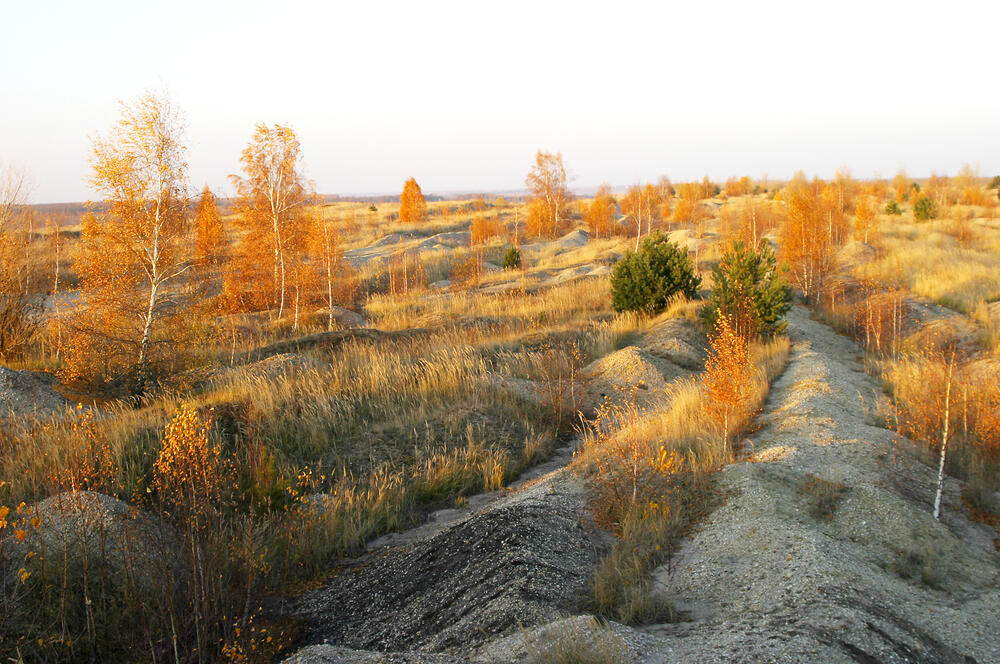 Ehemaliger Tagebau Goitzsche © Falko Heidecke