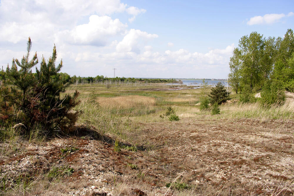 Ehemaliger Tagebau Goitzsche &copy; Falko Heidecke