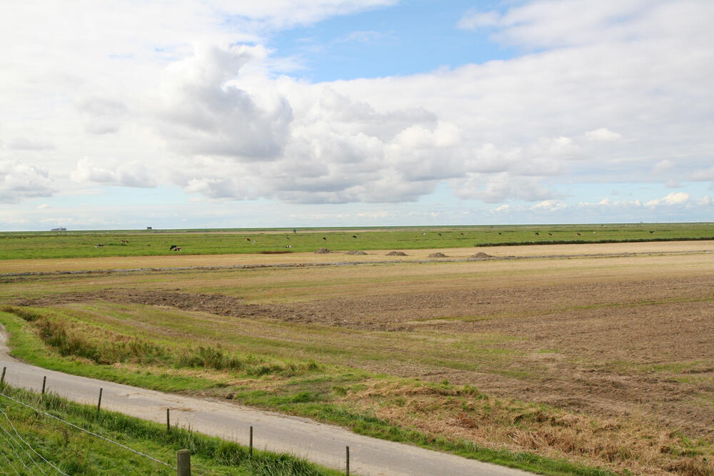 Elbwiesen, Aussendeichfächen 