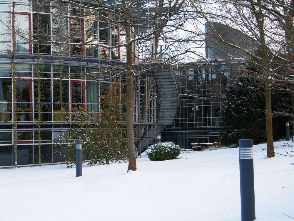 DBU im Schnee © Heike Stock