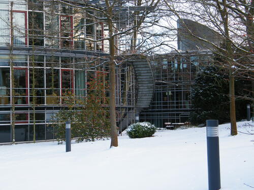 DBU im Schnee © Heike Stock