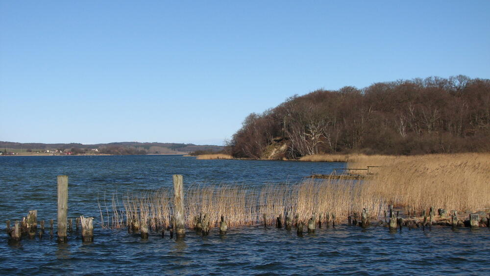 Stipendiatenseminar Insel Vilm 