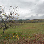 DBU-Naturerbefläche Forstberg © Heike Culmsee/DBU 