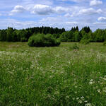 DBU-Naturerbefläche Stegskopf © DBU/Wiener