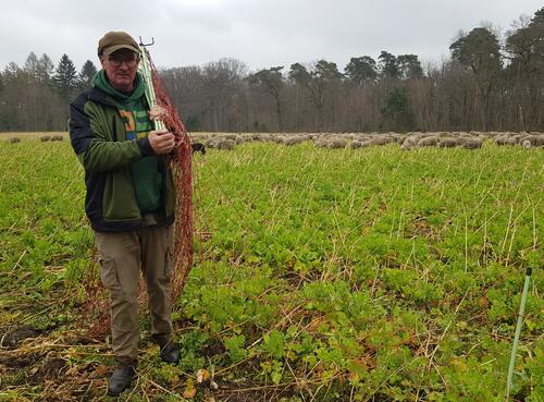 Schäfer Stratmann mit Zaun  © Katja Behrendt/ DBU Naturerbe