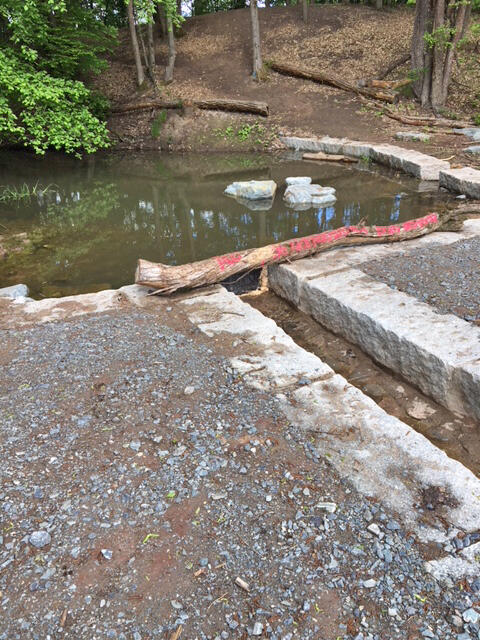 DBU-Naturerbefläche Hainberg, Weiher &copy; Kolb GmbH
