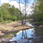 DBU-Naturerbefläche Hainberg. Weiher © Kolb GmbH