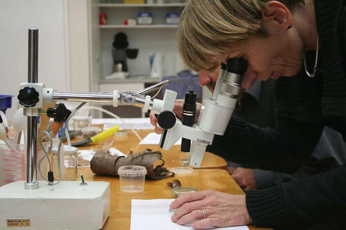 Blick durch die Lupe 