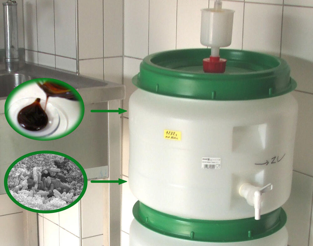 Nebenprodukte aus der Schlachtung 