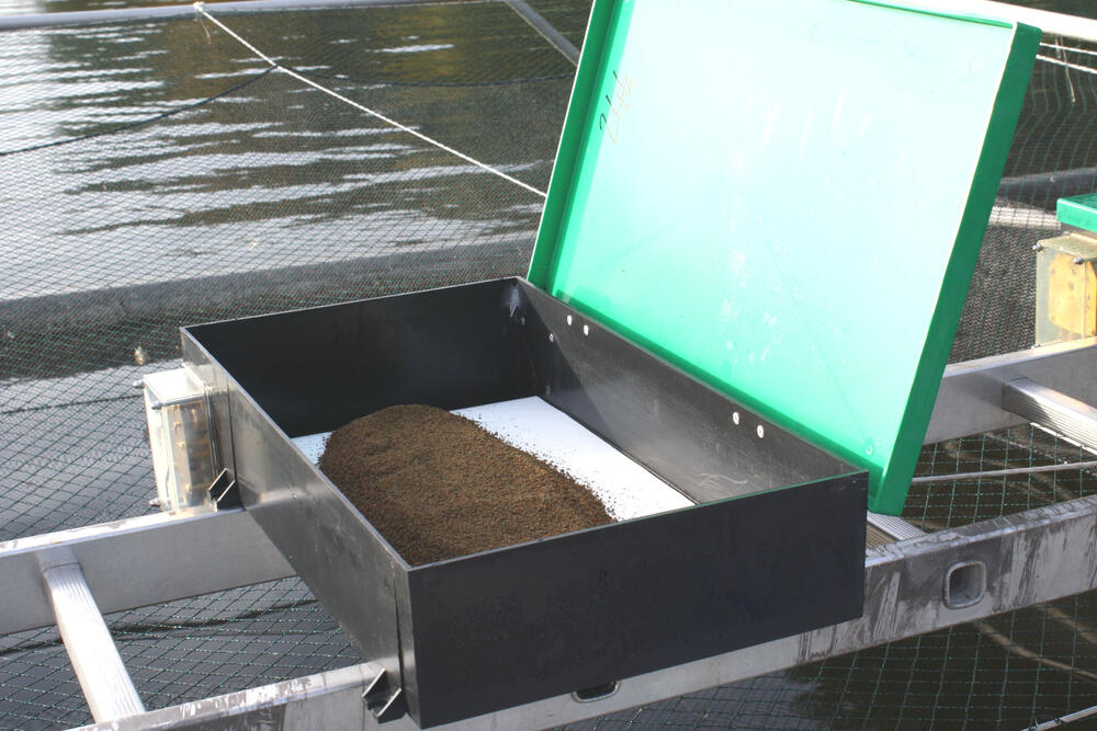 Trockenfutter als Endprodukt 