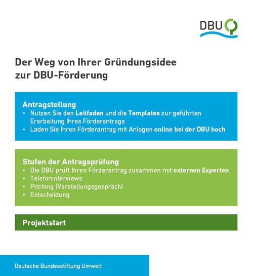 Start-up Programm: Ablaufschema der Förderung 