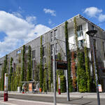 Freiburg Vauban Fassadenbegrünung © Mann/BUGG