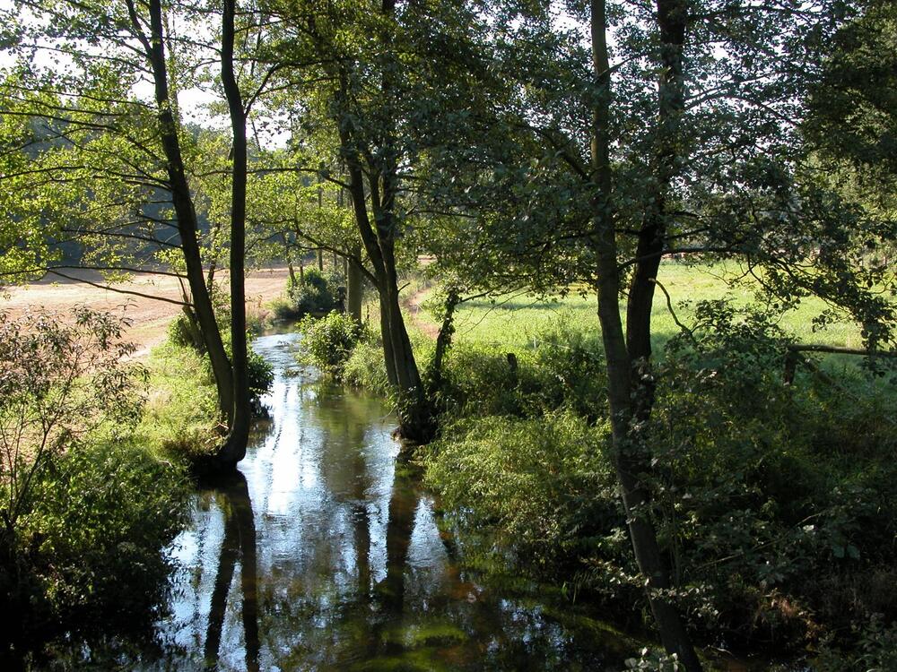 Flusslauf bei Hamburg 