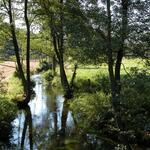 Flusslauf bei Hamburg 
