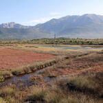 Saline Tivat, Montenegro © EuroNatur