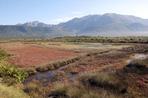 Saline Tivat, Montenegro © EuroNatur