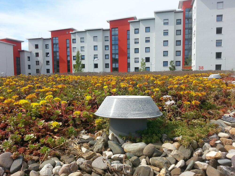 Gaytandzhieva_Gründach_Pixabay © Pixabay