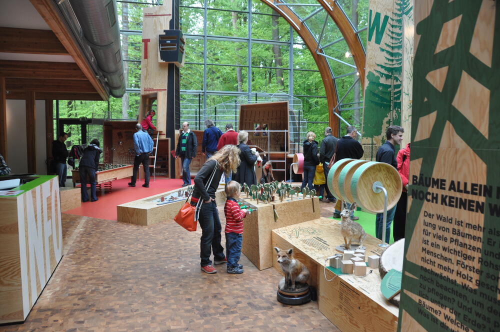 Neue Ausstellung  © Haus des Waldes