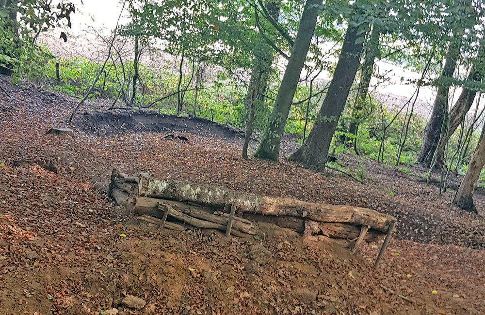 Unerlaubte Sprungschanze  - DBU-Naturerbefläche Borken © Michael Diekamp/DBU Naturerbe